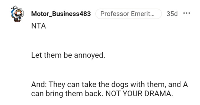 They can take the dogs along with them and bring them back again