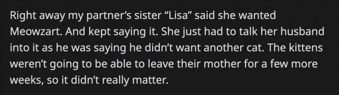 OP's partner's sister wanted to get Meowzart but was having a hard time convincing her husband