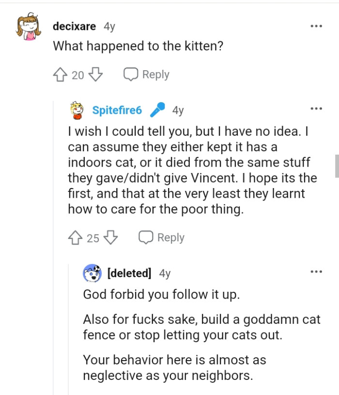 This Redditor wants to know what happened to the kitten