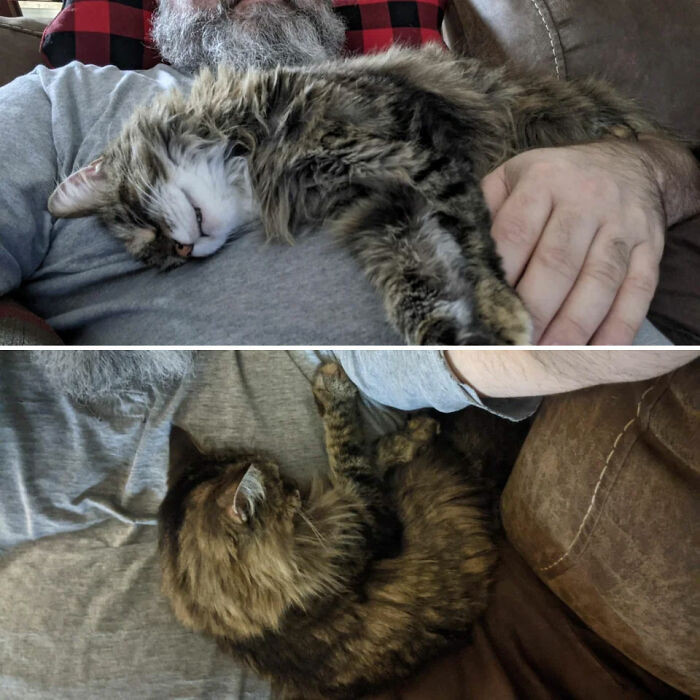 18. Mocha was at ease with her owner from the very beginning