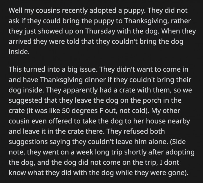 They had a carrier with them, so the first solution was to keep the puppy inside the carrier and leave it on the porch since the temperature was safe for it.