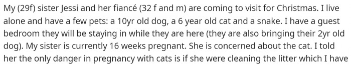 Here is how OP started their post by explaining the situation and why her sister asked her to take the cat somewhere else.