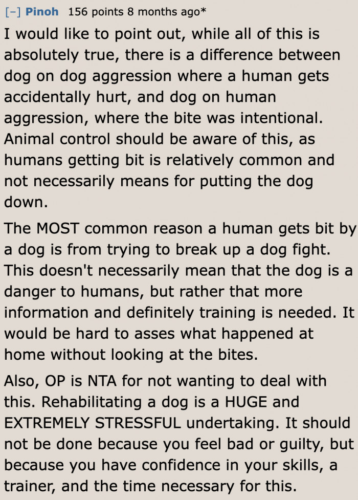 Rehabilitation can be a solution. But this family doesn't have the means to provide the necessary environment for the pit bull.
