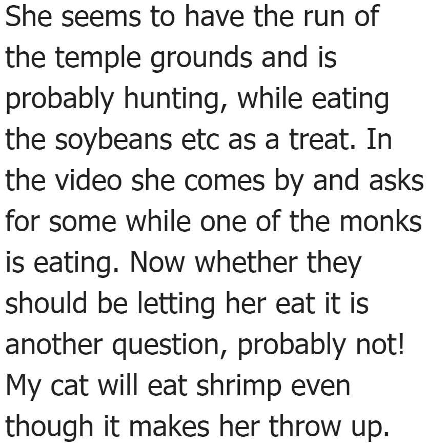 Cats eat food that aren't necessarily good for them.