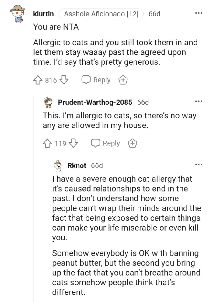 Allergic Man Gives Away Some Of His Girlfriend S Cats Gf Gets Mad At Him For Not Letting Her