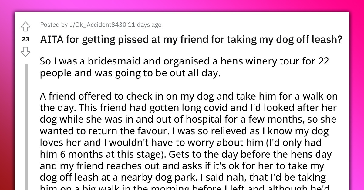 Redditor Gets Pissed At Her Friend For Taking Her Dog Off The Leash Despite Her Instructions, Refuses To Apologize