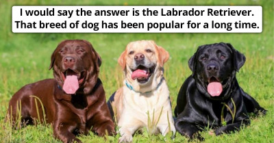 People Share Their Favorite Dog Breeds, And They Are Adorable