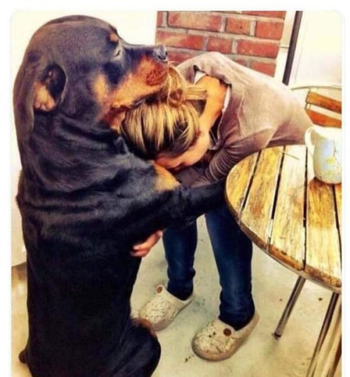 7. "Humans will abandon you, but a dog never will!"