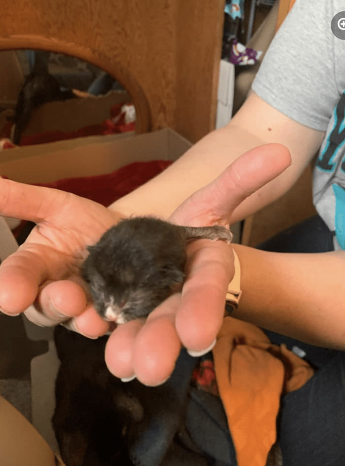 Here is the little beauty who weighed less than the others