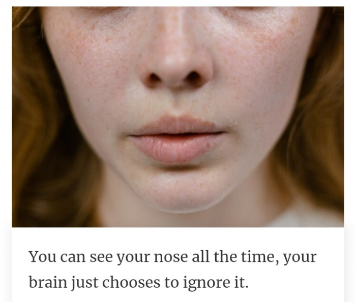 17. Your brain chooses to ignore seeing the nose