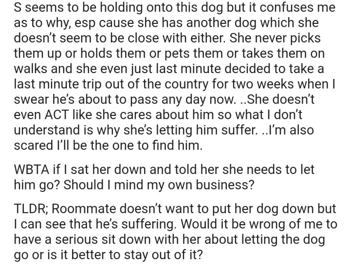 OP is contemplating advising their roommate to put the dog out of its misery, but they don't know how she'll react to that