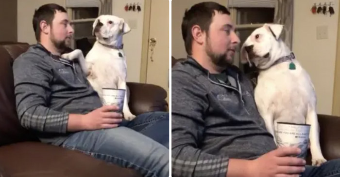 4. This boxer has a power.