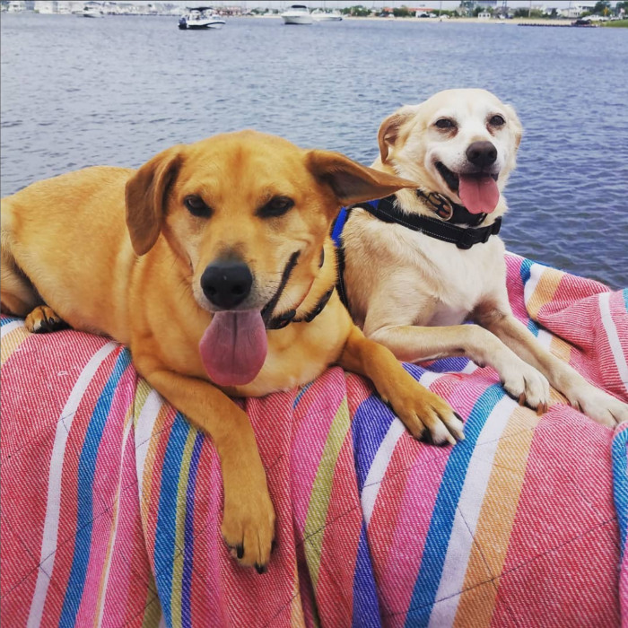 These two brothers have been on numerous adventures