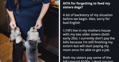 Redditors Are In Favor Of A 19-Year-Old Who Fell Asleep And Forgot To Feed Her Older Sister's Dogs