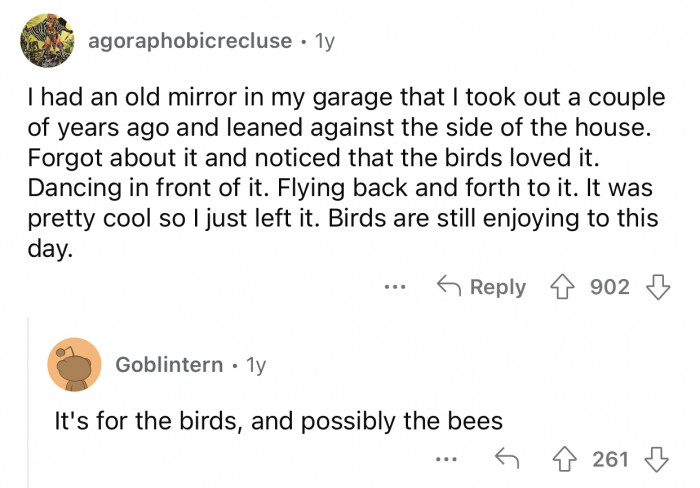 Their obsession with mirrors is for a reason.