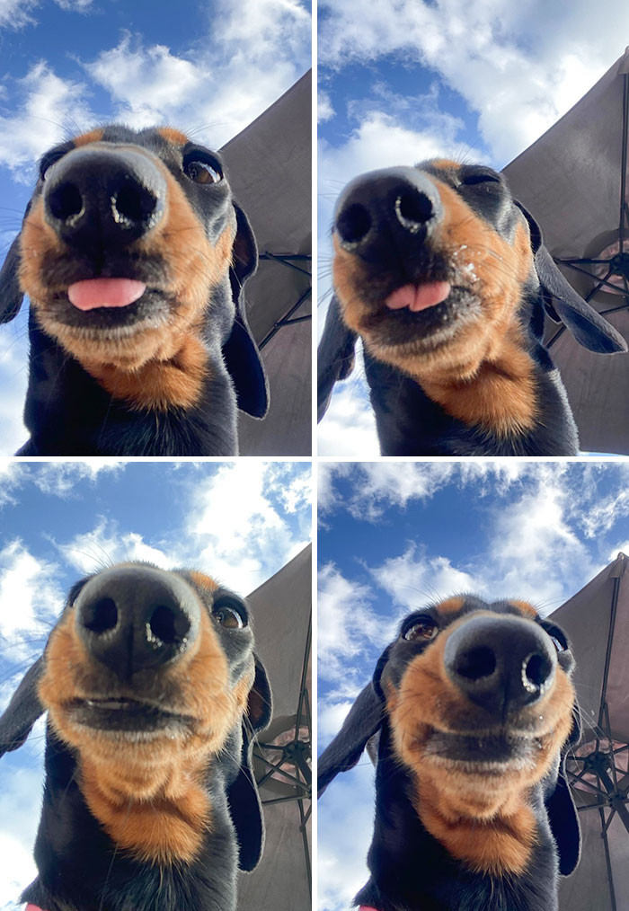 "Perfect Angle"