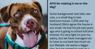 Woman Makes Her Husband Choose Between Her And A Pit Bull That's About To Be Put Down By Animal Control