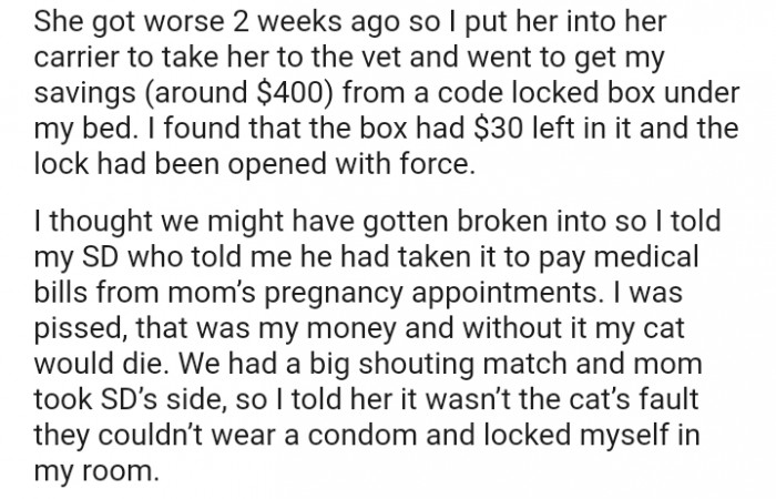 I put her into a carrier in order to head to the vet's