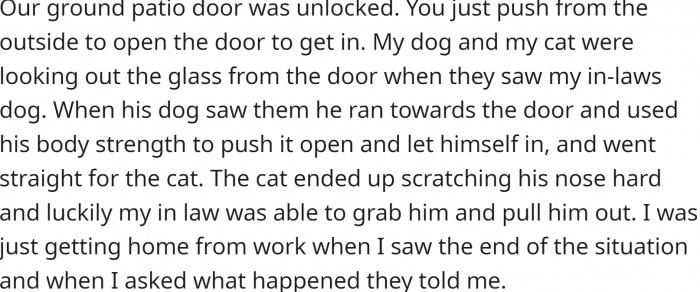 OP's patio was unlocked, and the dog came in. Her pets were inside. When the intruder dog approached the cat, it got scratched on the nose.