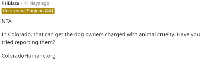 The first comment deemed her as NTA and offered a resource so that she could report them because of the neglect of the dog.