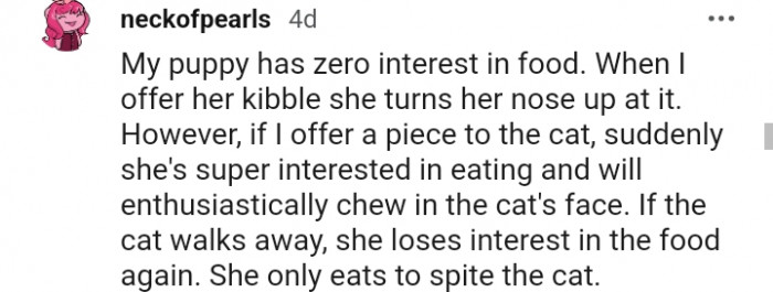 22. This puppy has zero interest in food