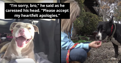 Man Weeps Uncontrollably As He Watched Two Stray Dogs He Rescued Depart For Shelter Homes