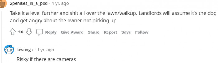 15. What this Redditor is advising the OP to do