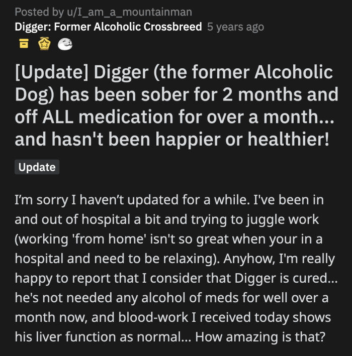 OP was sick when he posted a Digger update two months later