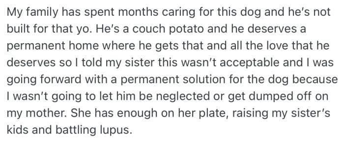 OP kept insisting that her sister must fond a permanent solution for the dog.In addition, she ruled out the possibility of shifting responsibility to their mom, who already had much on her own plate