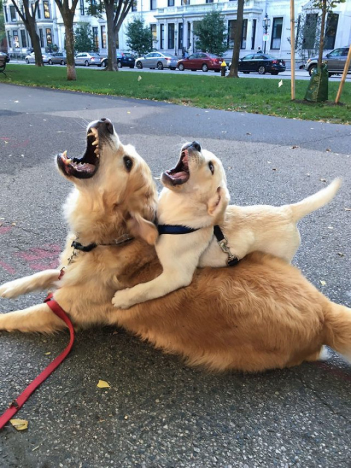 24. Posing for a Photo