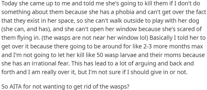 The roommate wants to kill the wasps due to a phobia, but OP refuses and tells her to get over it because the wasps will only be around for a few more months.