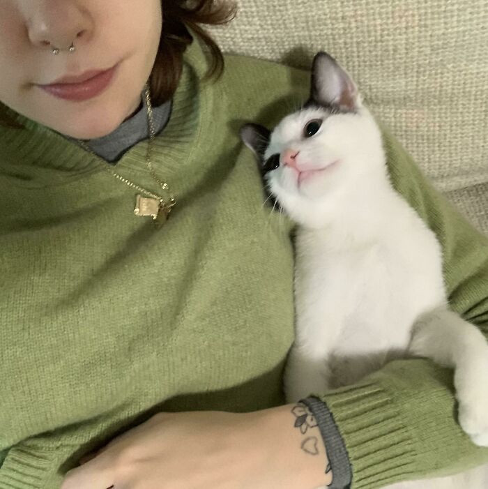 40. The Way My Shelter Kitten Looks At Me!