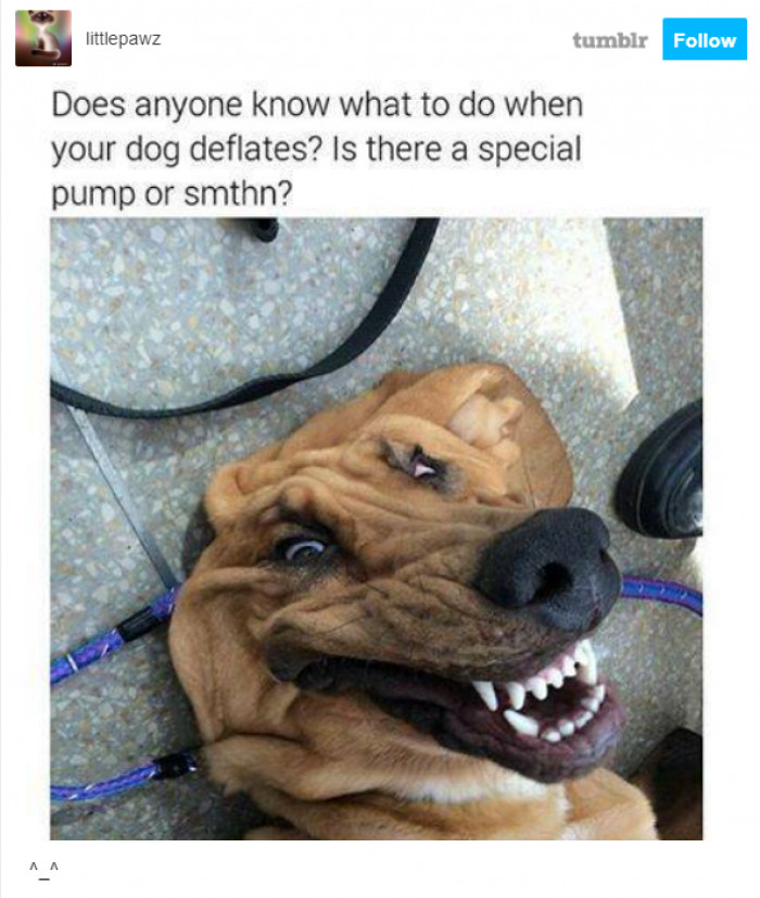 14. Silly boi needs an air pump.