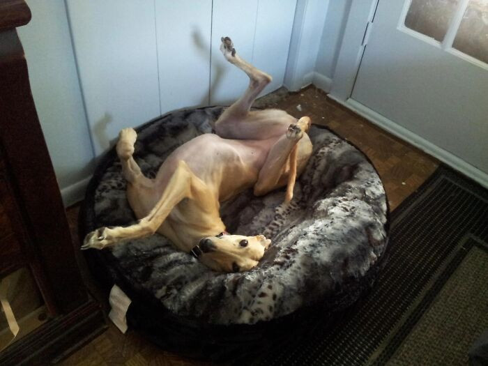 "I Swear To God, I Thought That Was A Deer Or A Stick"