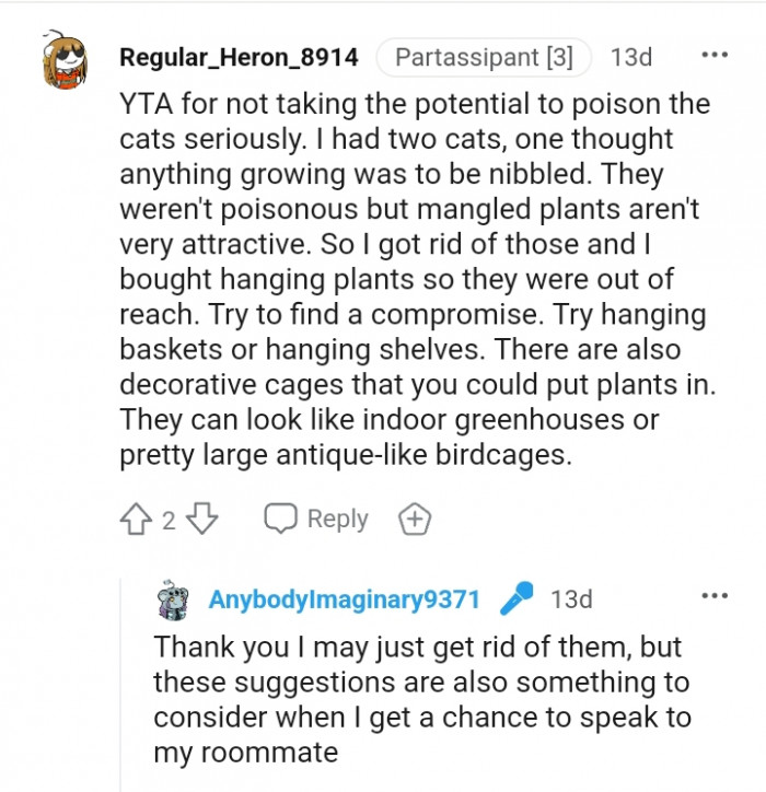 This Redditor bought hanging plants so they were out of reach