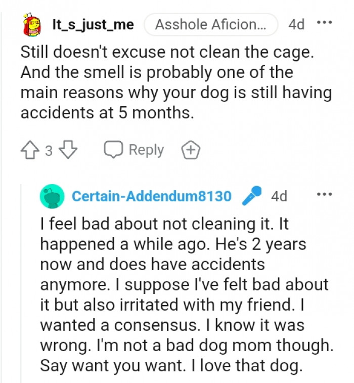 The smell could be one of the reasons the dog has accidents