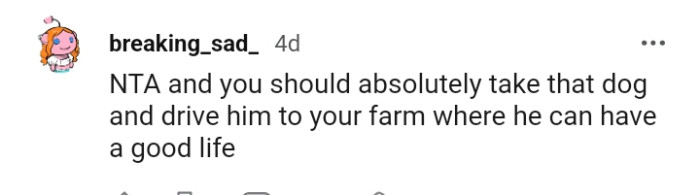 Take the dog and drive him to your farm