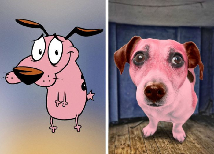 6. Courage the Cowardly Dog in real life.