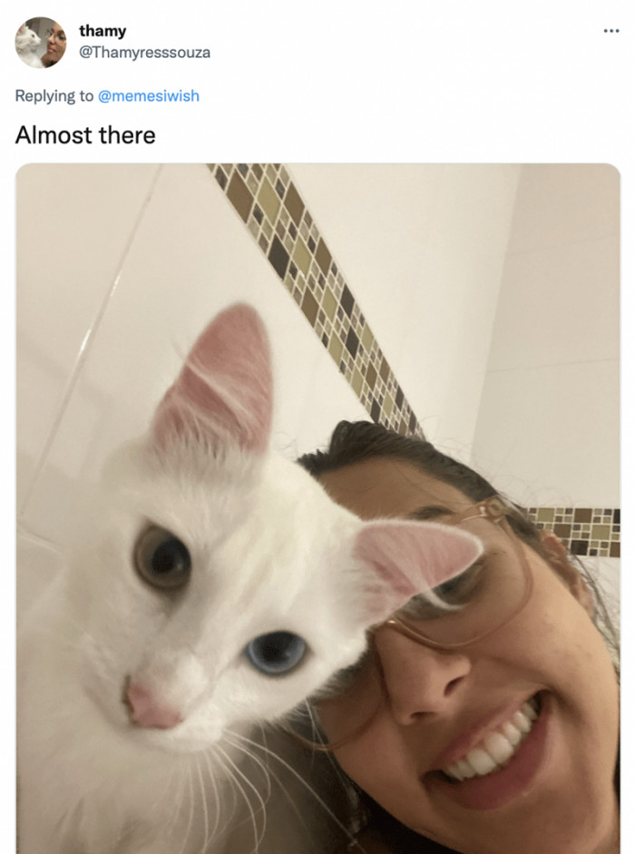 5. Okay, this one is cute and more like a 'let's take a selfie, kitty'