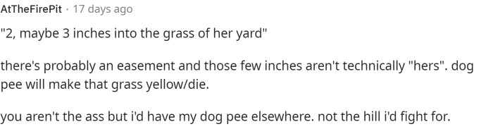 This comment mentions that dog urine can damage the grass, but that area likely doesn't belong to the neighbor, although they wouldn't necessarily confront her about it.