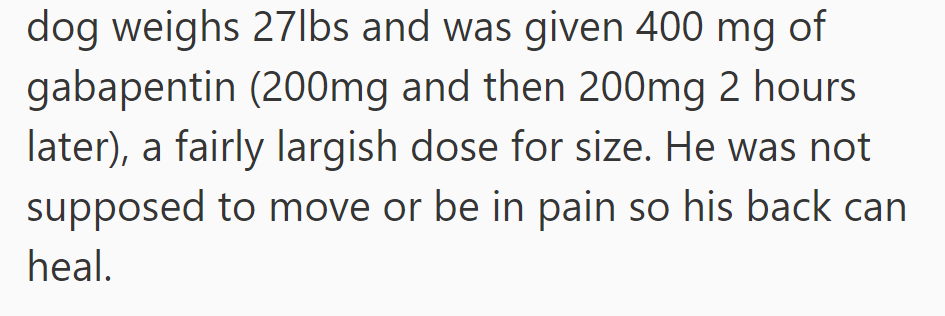 Dog weighs 27lbs, given 400mg gabapentin in two doses, large for size. Not supposed to move or be in pain for back healing.