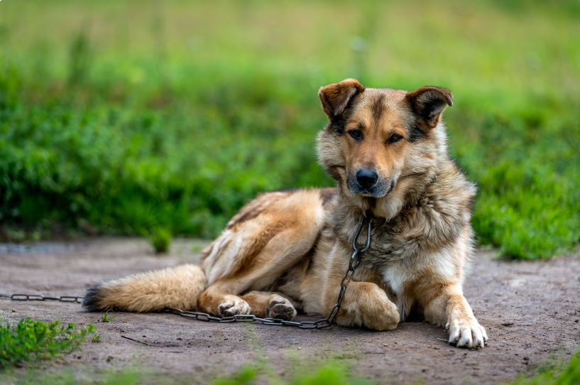 If the OP is in the USA, she can simply take a look at state laws and decide what to do next.