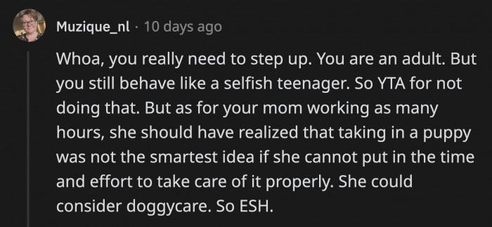 Perfectly Put. OP Is an Adult Behaving Like a Teenager, While OP's Mom Should Have Realized That She Works Too Many Hours to Really Prioritize a Dog.