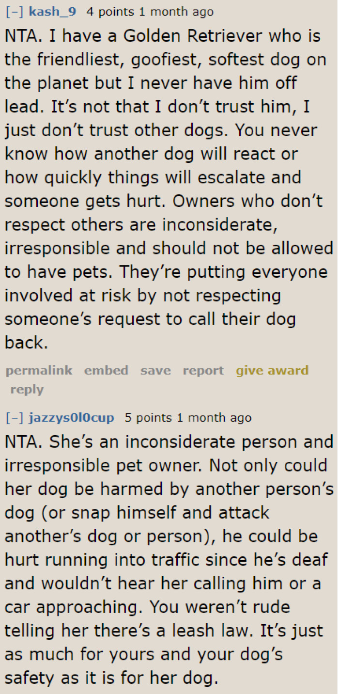 Even other dog owners agree that all dogs, including well-behaved ones, need to be leashed.