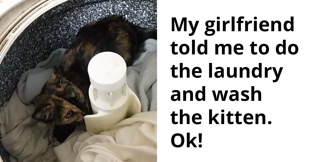 Girlfriend Tells BF To Wash The Kitten And Do The Laundry So He Did Exactly That