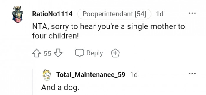 12. The OP has been likened to a single mother to four children