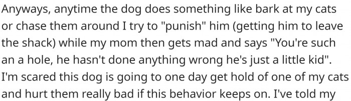OP tries to punish the puppy whenever it goes after the cats, but their mom is against it and criticizes them.