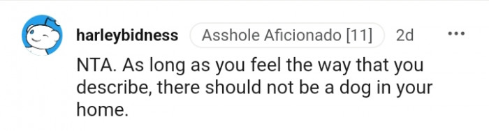 There should not be a dog in your home