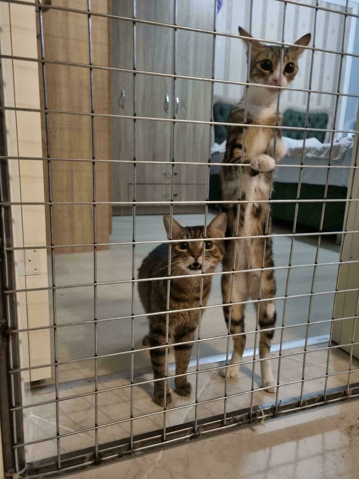 39. No comment necessary.