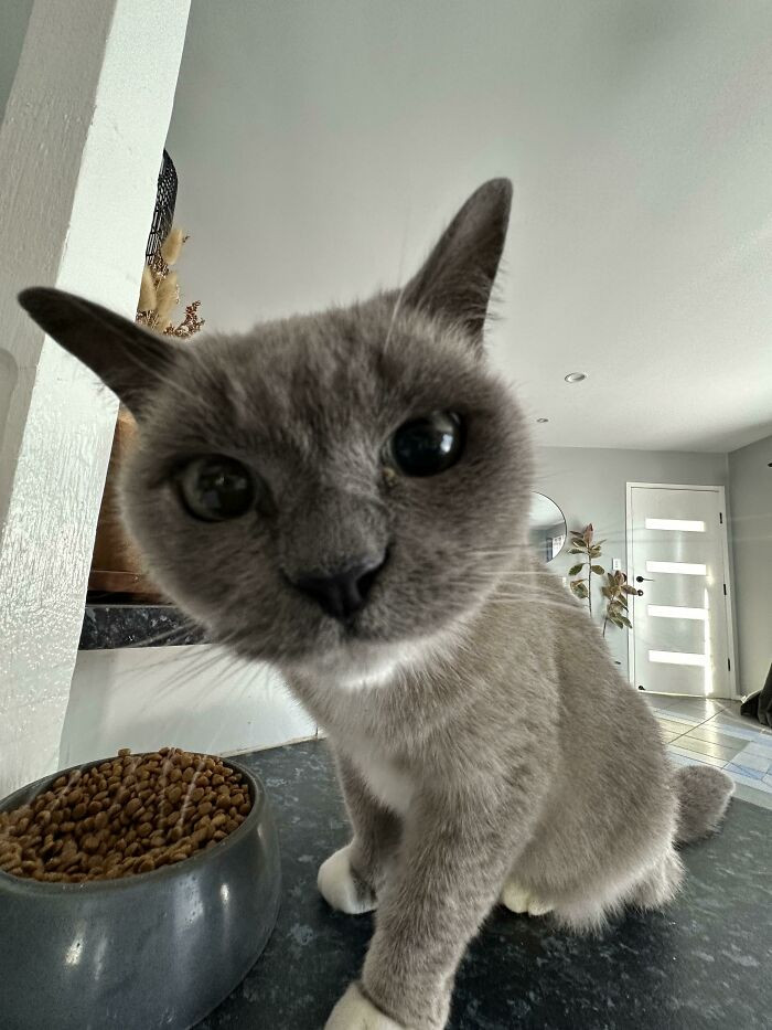 23. "Was Told This Little Lady Was Unfriendly To Visitors… Apparently I Am The Chosen One!"